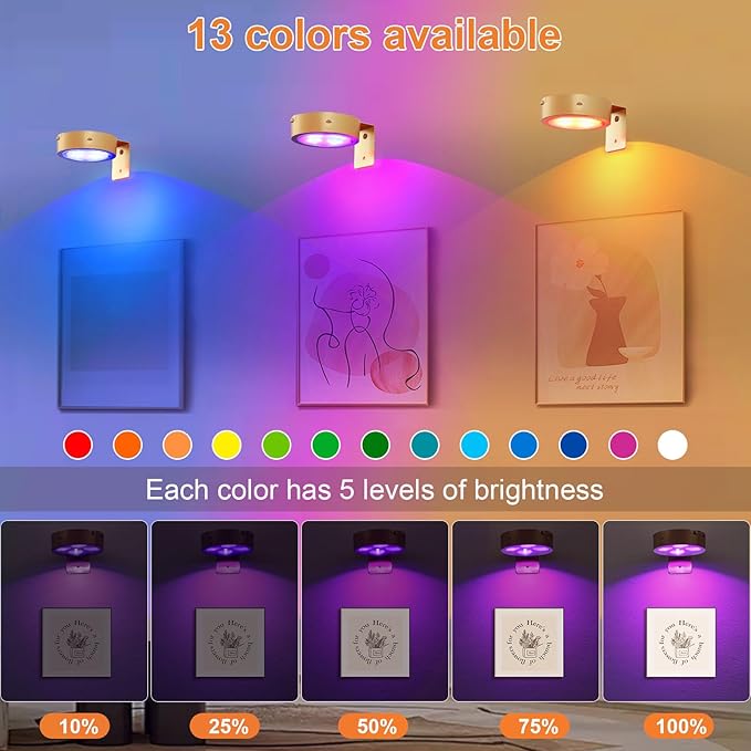 3Pcs Rechargeable Picture Lights,13 RGB Color Magnetic Led Wireless Art Display Light Battery Operated Wall Lights for Pictures with Remote Dimmable and Timer, for Picture Frame Paintings-RGB Gold