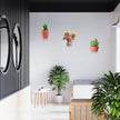 Acrylic Small Shelf,Mini Floating Wall Shelf,Wall Mounted Storage Shelf,for Pop Figures,Plant,Picture Photo Modern Wall for Office Bedroom Living Room,Clear (3 Pack)