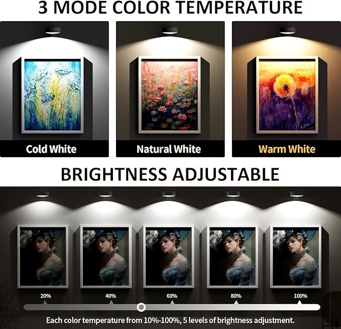 3-Pack Picture Lights for Wall, Rechargeable Battery Magnetic Poster Lights with Remote Dimmable 3-Color Temps & Timer, LED Art Display Lighting for Paintings, Frames & Wall Art Decor (White)