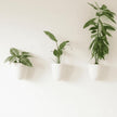 Make Good PlantPod Luxe Self-Watering Wall Planters (Set of 3) - Easy to Water and Install - Lightweight - Design Your Own Vertical Garden - Wall Planters for Indoor Plants