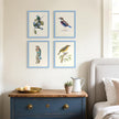 upsimples 11x14 Picture Frame Set of 5, Display Pictures 8x10 with Mat or 11x14 Without, Wall Gallery Photo Frames, Blue