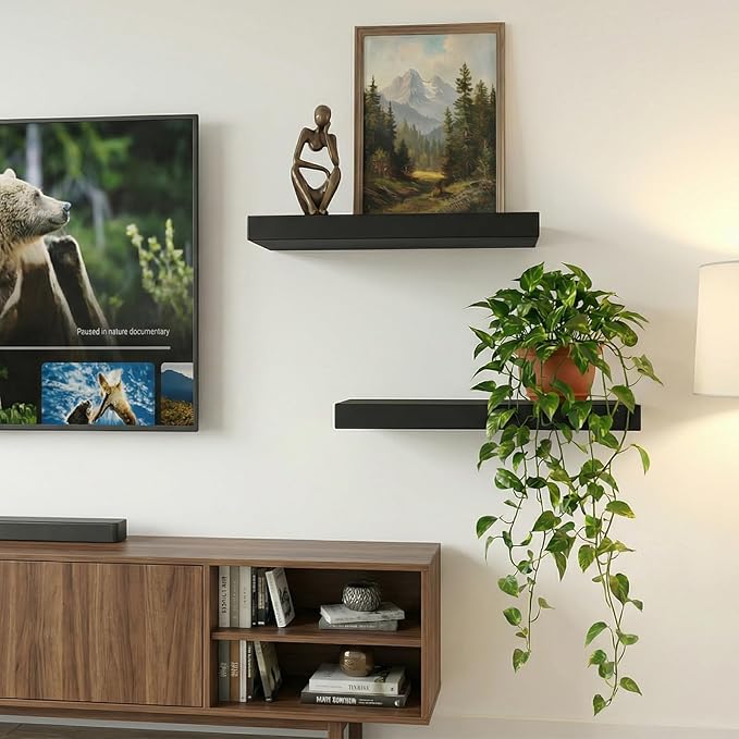 INHABIT UNION 17.5in Floating Shelves for Wall, Wall Mounted Shelves for Decor Storage Set of 2, Floating Shelf for Bedroom, Bathroom, Living Room and Kitchen（Black）