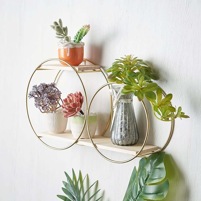 Efavormart 2-Tier Geometric Floating Shelf, Wall Hanging Shelves with Gold Double Hoop Design - 10