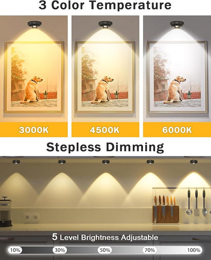 WILLED Picture Lights for Wall, 1200mAh Rechargeable Battery Operated Picture Frame lights, Puck Lights with Remote, Dimmable & Timer Art Lighting for Paintings Wireless, Magnetic Gallery Light/3 Pack