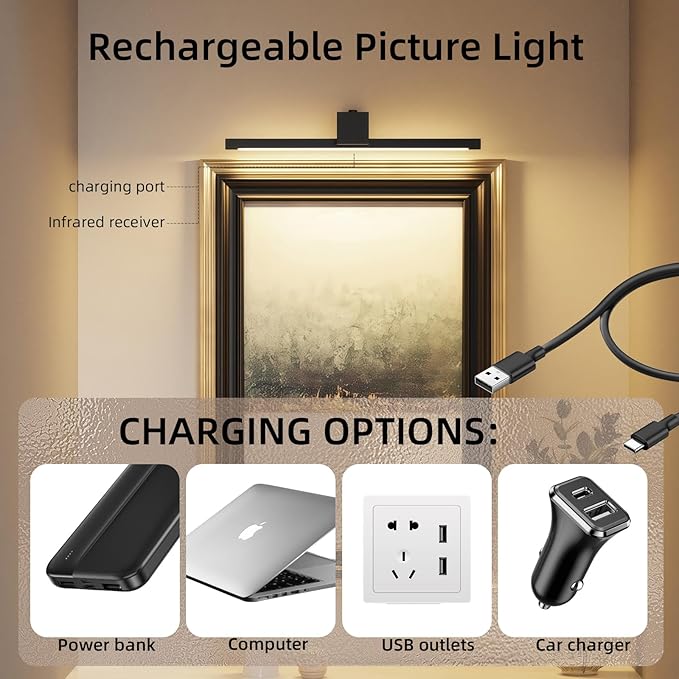 Picture Lights for Wall,Battery Operated Art Light,16in Gallery Light for Paintings,3CCT Dimmable,Metal Finish Recharging Battery Wall Light with Remote for Living Room Gallery(Black)