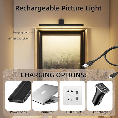 Picture Lights for Wall,Battery Operated Art Light,16in Gallery Light for Paintings,3CCT Dimmable,Metal Finish Recharging Battery Wall Light with Remote for Living Room Gallery(Black)