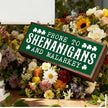 St Patricks Day Decor Signs, Lucky Clover Home Decors, St. Patrick's Day Themed Decor for Cafe Shop Coffee Bar, Desk Decors Art, Prone to Be Shenanigans and Malarkey Sign, 9.5x3.1x1 inches