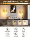 Rechargeable Wall Sconce, Gold Battery Operated Wall Sconce Set of 2 with Timer Function, Easy Install Dimmable Wireless Wall Lamps for Living Room, Bedroom, Hallway, Entryway Decor 3000K