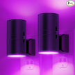 L LOHAS LED Purple Night Light, Purple Lights, Night Lights Plug into Wall with Light Sensor, 0-100LM Dimmable Night Lights Decorative for Christmas Halloween Holiday, Home Decor, Party Decor, 2 Pack