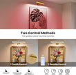 Picture Lights for Wall Battery Operated Gold Wireless Art Light for Paintings, Rechargeable Display Lighting for Picture with Remote Control, RGB Poster Lights for Frame, Gallery, Portraits, 2 Pack