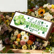 Let the Shenanigans Begin Sign, St Patricks Day Decorations for Home, Office, Shelf, Mantel, Indoor, Shamrock Art Decor, Saint Patrick Day Decor, Four Leaves Clover Decors, 9.5x3.1x1 inches