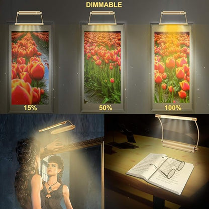 HONWELL Picture Light - Cordless Display Lights with Battery Powered LED, Remote Control, Timer Dimmer, Swivel Lamp Head for Artwork Lighting