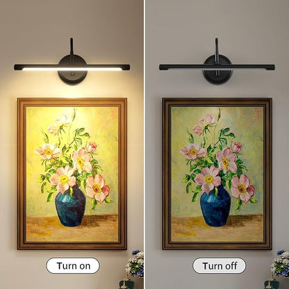 JOOSENLUX LED Picture Light Hardwired Matte Black Modern Picture Lights for Paintings 16.54'' Inch Long Swing Arm Metal Art Lights Warm White 3000K