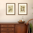upsimples 12x16 Picture Frame Set of 5, Display Pictures 8.5x11 with Mat or 12 x 16 Without, Wall Gallery Poster Frames, Brown