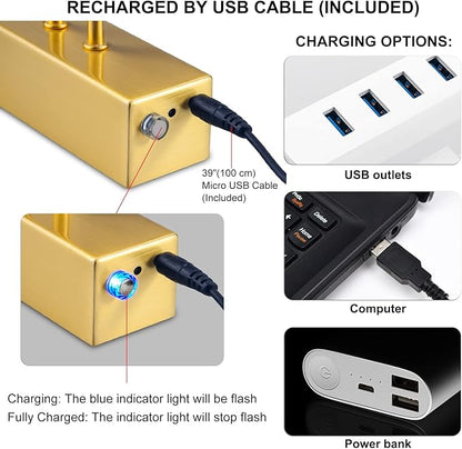 Picture Light,Picture Lights for Wall Cordless,13" Picture Lights with Timer and Dimmable,Battery Wall Lights for Display Gallery Painting Art Frame Portrait-Plated Gold
