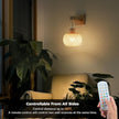 Battery Operated Wall Sconce with Remote Set of 2, Rechargeable Boho Wall Sconces with 8000mAh Bulbs, 3CCT+12RGB Dimmable Woven Bamboo Wall Light/Lamp Rattan Sconces for Bedroom Living Room