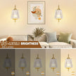 Vintage Battery Wall Sconce with Flower lampshade,Rechargeable Battery Powered Wall Lights,Wall lamp with 15 Colors for Bedroom Living Room Home Decor (Clear Stripe, 2 Light Battery Operated)