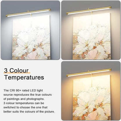 9W Picture Light Plug in, 24" Adjustable LED Art Light with Remote Control, Dimmable Wall Light for Picture Display Dartboard Art Work (Gold)