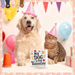 Valentines Cat Dog Desk Decor, Valentine's Day Gifts for Cats Dogs Lover Pet Parent, Home Office Table Sign Decoration for Shelf Tiered Tray, My Dog Is My Valentine