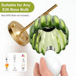 Vintage Wall Sconces Set of 2 with Green Tulip Glass Lampshade, Hardwired and Wireless Wall Mounted Light Fixtures (2 Usage Methods), Gold Lamp with Switch for Bedside Bedroom Living Room Wall Decor