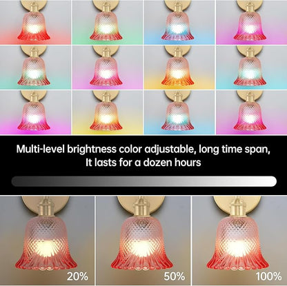 GEEZO Vintage Battery Operated Wall Sconce, with Rechargeable Battery Powered Wall Light with Remote Control for Bedside Bedroom