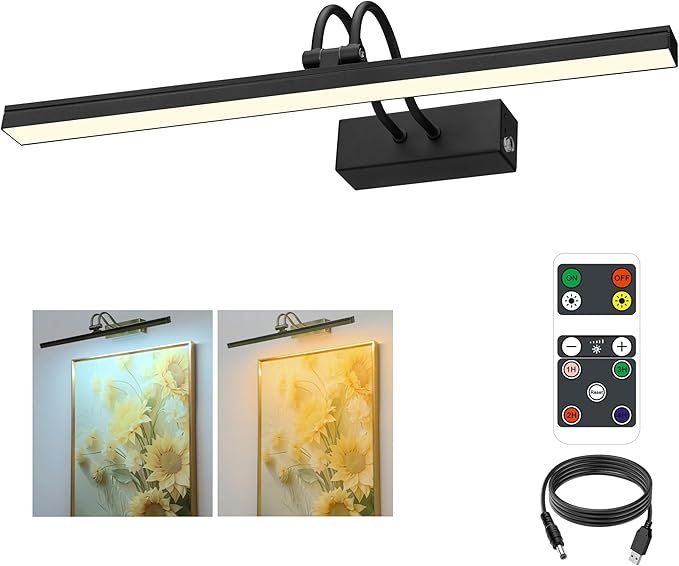 FUNCHDAY Dimmable Picture Light with Remote, 2 Colors Wireless Art Lights for Wall, 5000mAh Rechargeable Battery Gallery Pictures Lights, 16in Metal Display Light for Photo,Frame (Black)