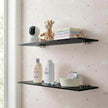 iobiotio Small Shelves, Mini Acrylic Floating Shelf, Display Ledge Plastic Wall Shelves for Figures Plants Accessory, 12 x 4 inch Floating Shelf, Black, 2 Pcs