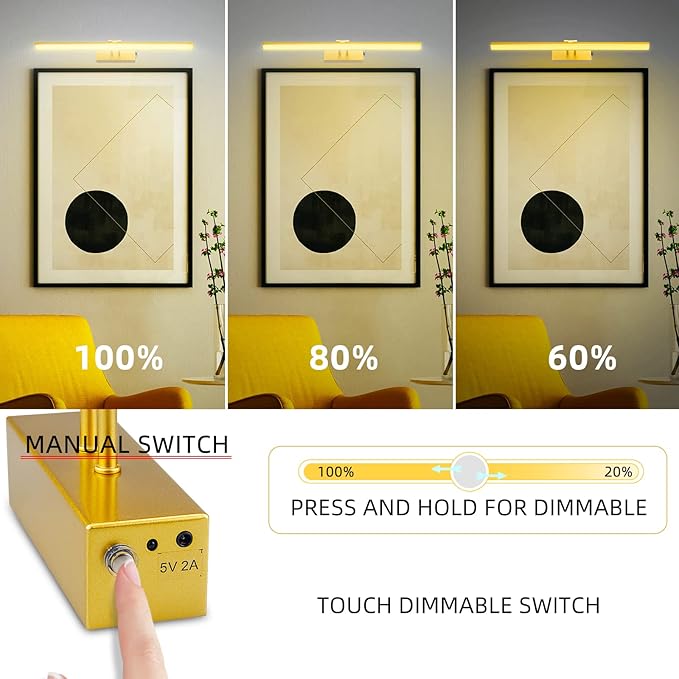 FUNCHDAY Picture Light,Battery Art Lights for Wall,Wireless Remote Painting Light with Timer and Dimmable,13”Metal Display Lighting for Artwork,Portrait,Gallery(Gold)