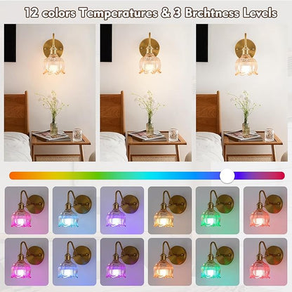 Vintage Battery Operated Wall Sconces Set of 2, Rechargeable Gold Wall Lamp with Remote Control, Amber Glass Lampshade Cordless Wall Sconce Fixtures for Bedroom, Living Room, Bedside