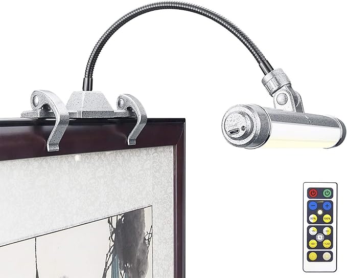 LUXSWAY Wireless Picture Frame Led Lighting,Rechargeable Art Display Lighting Clip on Pictures,Over Painting Lights,Artwork Lamp with Flexible Neck,28 LEDs 3 Lighting Modes 200 LM-Silver