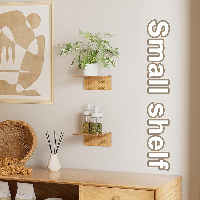 Boho Acrylic Wall Shelves 2 Pack, Small Floating Shelf with Rattan Pattern, Clear Display Ledges for Funko Pop Figures, Plants, Perfume & Home Decor, Wall Mount for Bedroom, Living Room