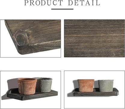 Freezing point Small Floating Shelves for Wall Set of 2 Natural Wood Trapezoid 10×4Inch Mini Wall Shelf Decor Plant Display Mounted Kitchen Bathroom Bedroom Corner Decorative Storage Tiny Stand