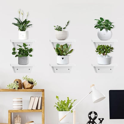 PHOENANCEE Small Floating Shelves,Trapezoid Wall Shelf for Speaker Table Lamp Plants Display,Decorative Wood Ledges Chic for Living Room,Bedroom,Kitchen,Office,Pine,8x6 Inch,2 Pack(White)