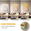 14in Picture Light,Battery Operated Picture Light,Brass,with Remote and Timer,Wall Pictures,Dimmable for Display Photo,Frame,Portrait.