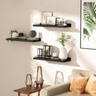 Floating Shelves for Wall Decor, Black and Gold Shelves for Bathroom, Living Room, Bedroom, Picture Frames, Plants, Kitchen (Set of 3)