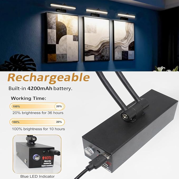 2 Pack Picture Lights for Wall Battery Operated, 12 inch Wireless Art Lighting for Painting, 6 Colors Picture Frame Lights with Remote, Dimmable 4200mAh Gallery Light, Black