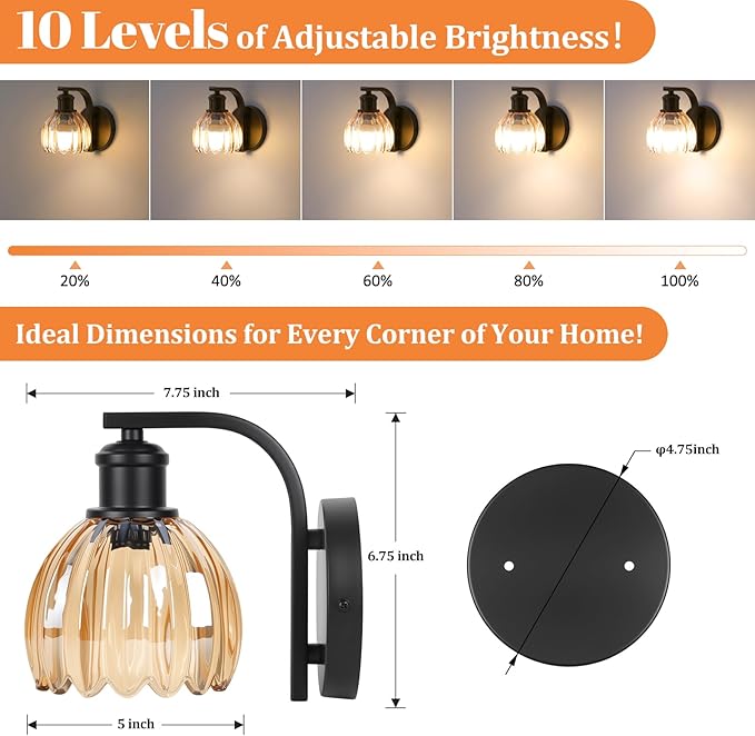 VerRon Rechargeable Battery Operated Wall Sconce with Amber Glass Lampshade, Wireless Wall Scone Decor with Remote Control, 15 Colors Black Wall Light for Bedside Hallway Bedroom Doorway