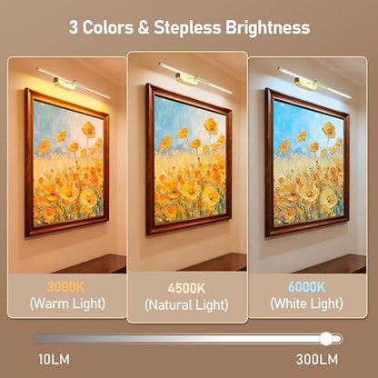 Glendan Wireless Picture Light for Wall: 24" Rechargeable Art Light with Remote & Timer, 8000mAh Battery Operated Poster Lights, 3 Color Modes & 3 Brightness Levels for Pictures, Gallery, Frame