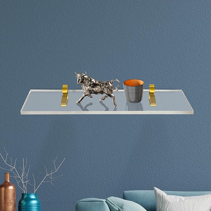 Clear Acrylic Shelves for Wall Storage, 6