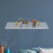 Clear Acrylic Shelves 11.5 inches, 3/4