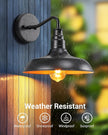 DEWENWILS 2 Pack Outdoor Wall Light, Gooseneck Barn Light Fixture, Black Matte Wall Mount Lantern, Farmhouse Outside Wall Sconce, Exterior Porch Light for House Frontdoor Entryway Garage