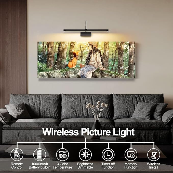 Battery Operated Picture Light with Remote, 24 inch Wireless Rechargeable Art Light with Timer, Dimmable 3CCT Gallery Lighting for Paintings, Portraits, and Canvas (Black)