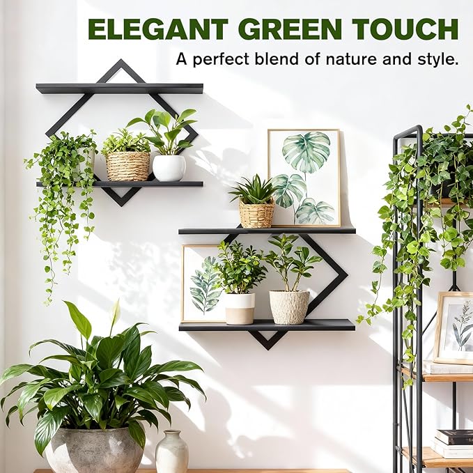 Set of 2 Wall Plant Holder Wall Planters for Indoor Plants Window Plant Shelves Plant Stand Indoor Floating Wall Shelves for Plant Hanger Indoor for Plants, Books, Photos wall Decor (Black)