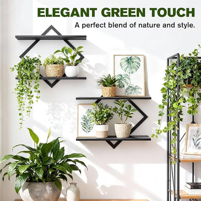 Set of 2 Wall Plant Holder Wall Planters for Indoor Plants Window Plant Shelves Plant Stand Indoor Floating Wall Shelves for Plant Hanger Indoor for Plants, Books, Photos wall Decor (Black)