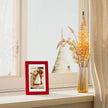 Vittanly 4x6 Picture Frame Set of 4, Display Pictures 3.5x5 with Mat or 4x6 without Mat, Small Photo Frames for Wall or Tabletop Display, Engineered Wood with Shatter Resistant Plexiglass, Red