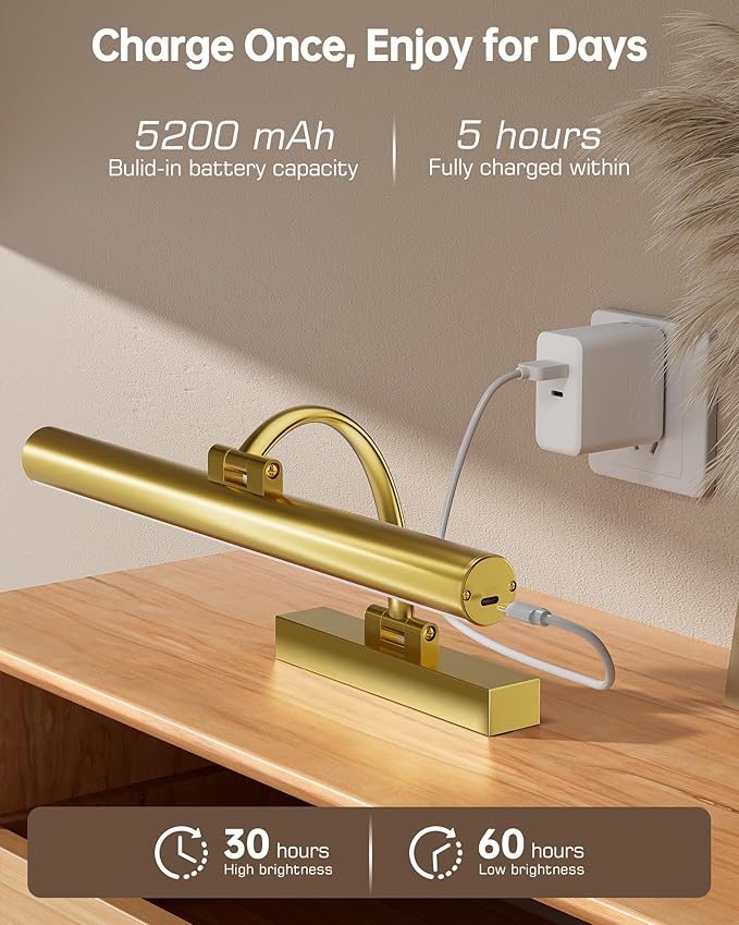 Picture Lights for Wall, 16.5" Rechargeable Art Light with Remote & Timer, 5200mAh Battery Operated Poster Lights, 3 Color Modes & 3 Brightness Levels for Pictures, Gallery, Photos (2 Pack)