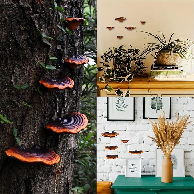 Set of 5 Mushroom Wall Shelves - Small Floating Shelves for Home Decor, Kitchen, Bedroom | Cute Resin Mushroom Shelf, Cottagecore & Reptile Gecko Habitat Accessory