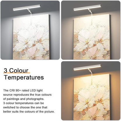 4W Plug in Picture Light for Paintings with Remote Control, 12" LED Art Display Lighting for Gallery, Dartboard, Artwork, Nickel Wall Mounted Picture Frame Light