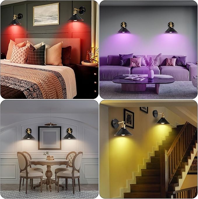 Battery Operated Wall Sconces Set, Wireless Wall Sconces with Dimmable Remote Control, USB Charging, Warm White/Natural White/Daylight/RGB, Wall Lighting for Bedroom, Living Room, Entryway