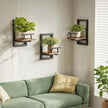 bosbo Floating Shelves for Wall, Plant Shelf Indoor, Wall Planters for Indoor Floating Plant Shelves for Bedroom, Living Room, Kitchen, Office, Bathroom Decor (3 Pack)
